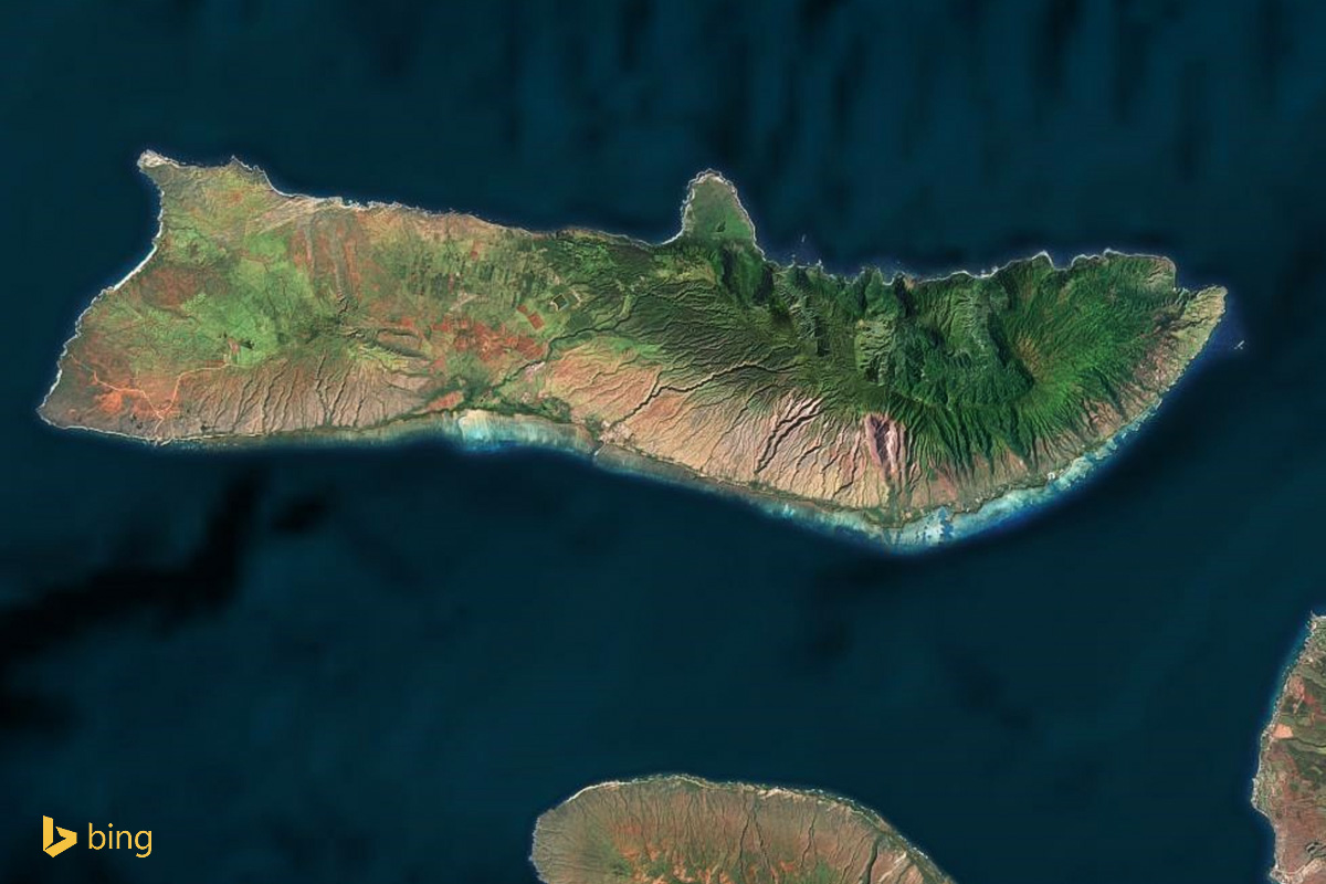 (Molokai Island)